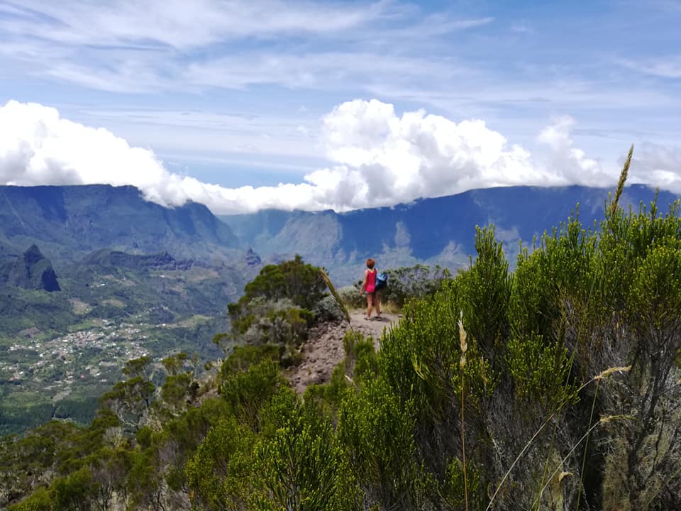 Piton Des Neiges BumbleBeeLives